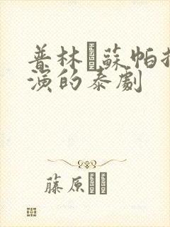 普林·苏帕拉主演的泰剧