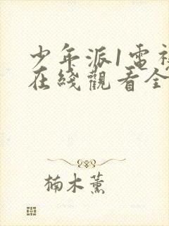 少年派1电视剧在线观看全集免费