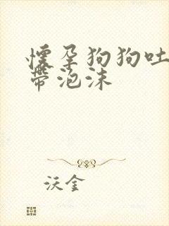 怀孕狗狗吐黄水带泡沫