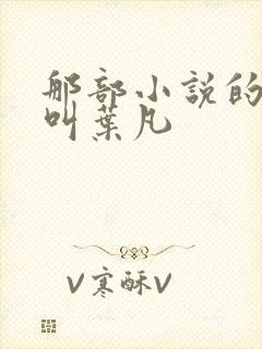 那部小说的主角叫叶凡