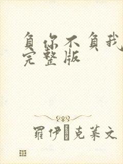 负你不负我原唱完整版