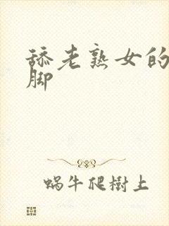 舔老熟女的丝袜脚