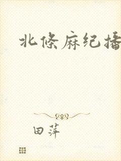 北条麻纪播放封面