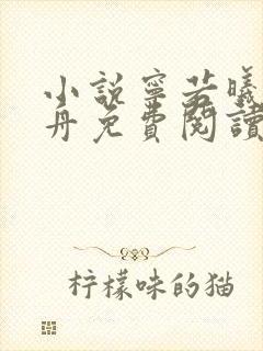 小说宁若曦沈砚舟免费阅读