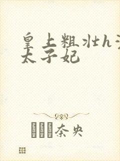 皇上粗壮h灌满太子妃封面