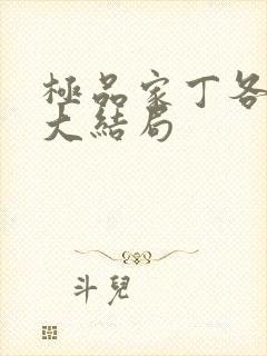 极品家丁各女主大结局封面