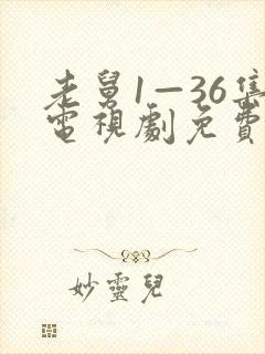 老舅1—36集电视剧免费封面