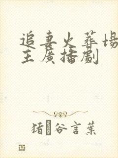 追妻火葬场双男主广播剧