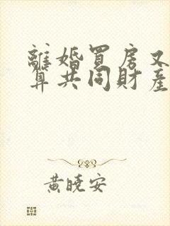 离婚买房又复婚算共同财产吗