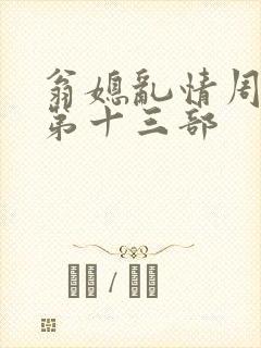 翁媳乱情周梦莹第十三部封面