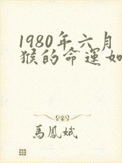 1980年六月猴的命运如何