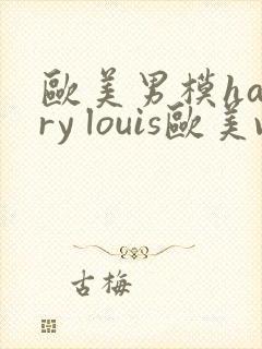 欧美男模harry louis欧美videos裸体艺术