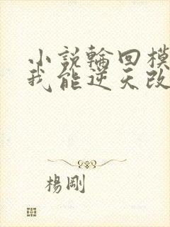 小说轮回模拟:我能逆天改命全文阅读