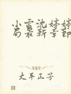 小雷沈婷婷大结局最新章节封面