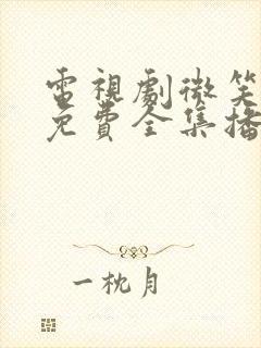 电视剧微笑妈妈免费全集播放