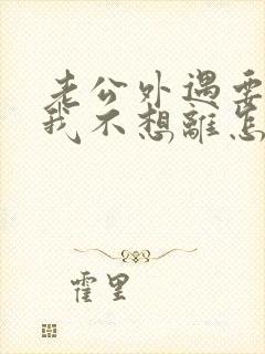 老公外遇要离婚我不想离怎么封面