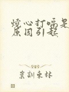 烧心打嗝是什么原因引起