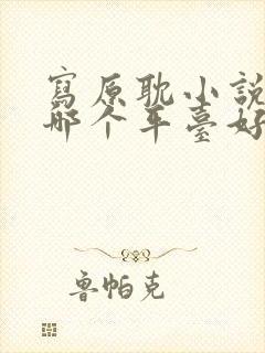 写原耽小说赚钱哪个平台好