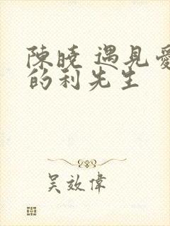 陈晓 遇见爱情的利先生