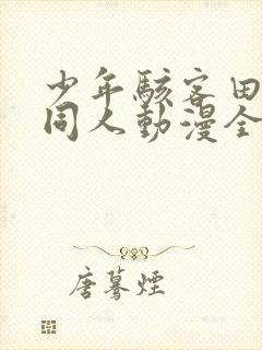 少年骇客田小玟同人动漫全集