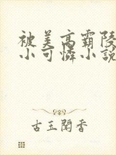 被美高霸陵着的小可怜小说