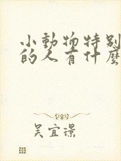 小动物特别喜欢的人有什么说法吗?封面