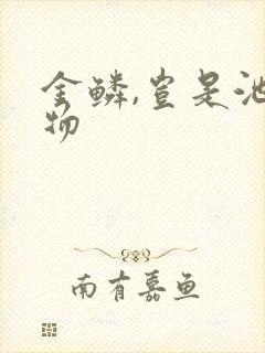 金鳞,岂是池中物