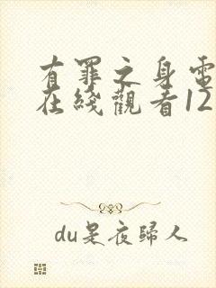 有罪之身电视剧在线观看12集