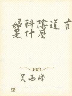 妇科阴道有白点是什么