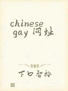chinese gay 网址