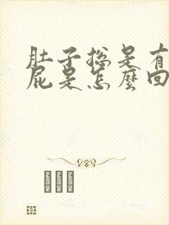 肚子总是有气放屁是怎么回事