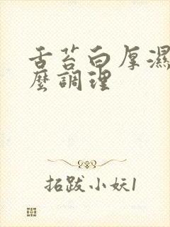 舌苔白厚湿热怎么调理