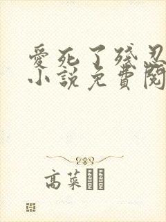 爱死了残忍的你小说免费阅读全文