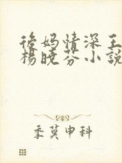 后妈情深王磊与杨晓芬小说