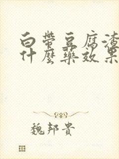 白带豆腐渣状用什么药效果好