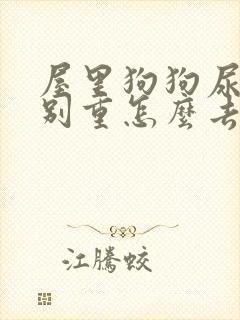 屋里狗狗尿味特别重怎么去除