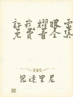 许我耀眼电视剧免费看全集封面