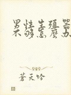 男性生殖器硬度不够怎么办