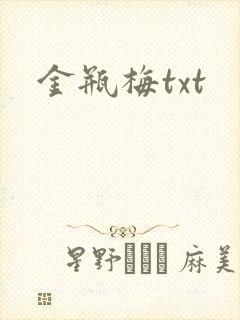 金瓶梅txt