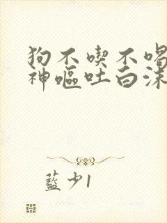 狗不吃不喝没精神呕吐白沫