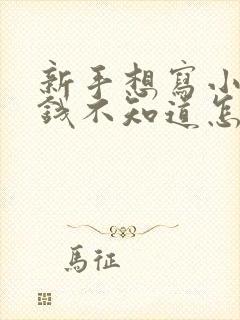 新手想写小说赚钱不知道怎么做