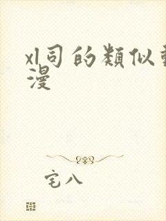 xl司的类似动漫