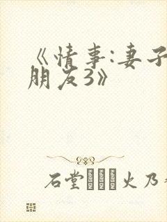 《情事:妻子的朋友3》封面