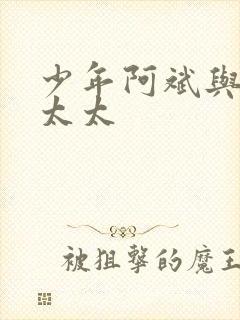 少年阿斌与房东太太