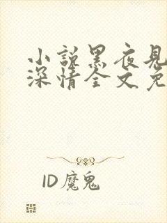 小说黑夜见过他深情全文免费阅读封面