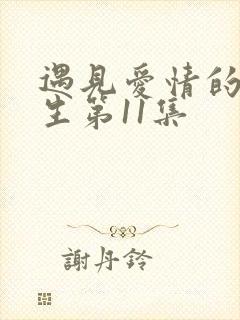 遇见爱情的利先生第11集封面