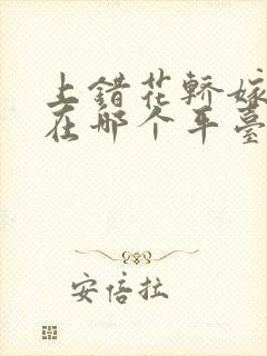 上错花轿嫁对郎在哪个平台看封面