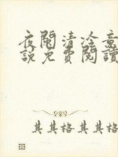 夜阑清冷意欢小说免费阅读