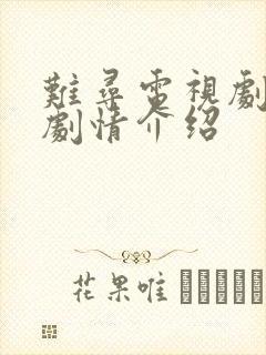 难寻电视剧分集剧情介绍封面