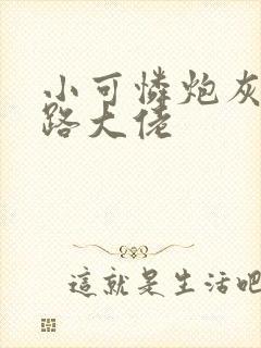 小可怜炮灰被各路大佬封面